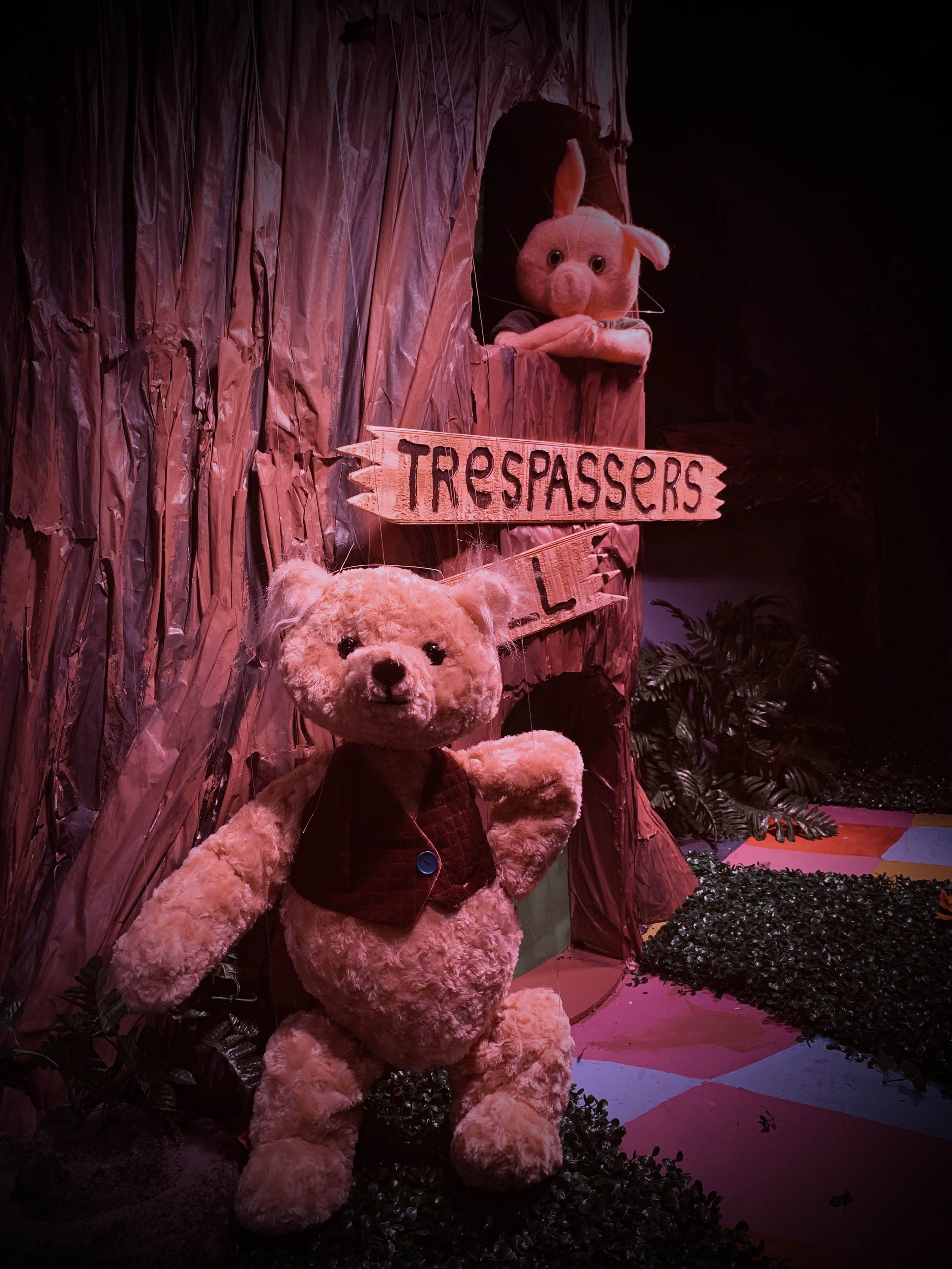 Winnie the Pooh Columbia Theatre